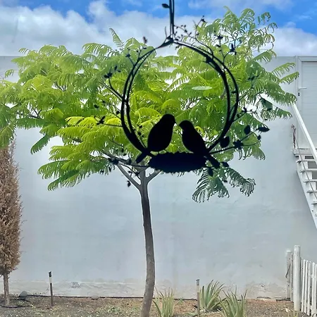 Loft La Cueva De Pajaros Lägenhet