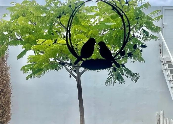 Loft La Cueva De Pajaros Lägenhet